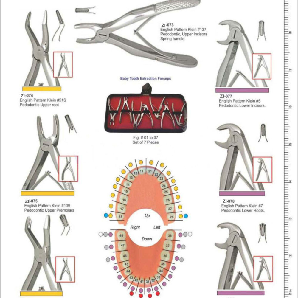 Extracting Forceps