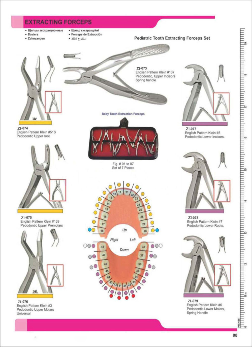 Extracting Forceps