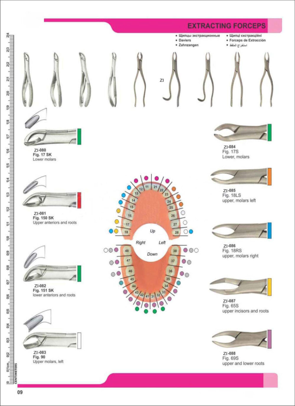 Extracting Forceps